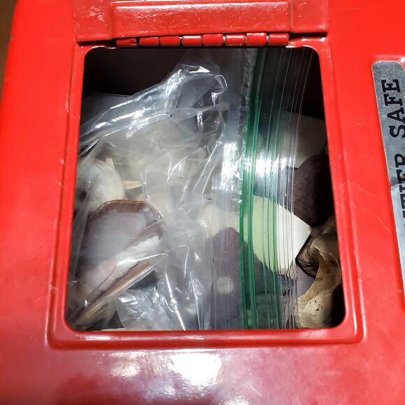 Shells Raw Crystal Shark Teeth Rocks Locker Box - Picture 1 of 1